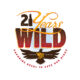 logo design tulsa ideastudio