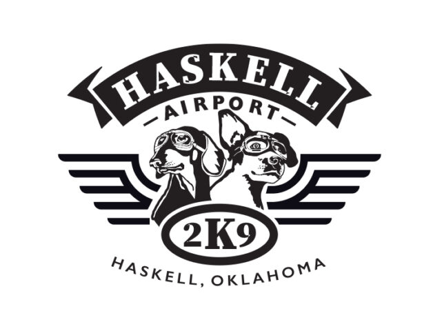 logo design logo designers graphic designer logo design Tulsa Ideastudio idea studio ok oklahoma city tahlequah bartlesville stillwater dallas agency brand company logos companies aviation airplane business