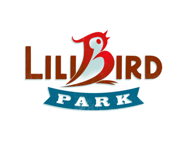 Logo designer near me Tulsa OK Ideastudio idea studio oklahoma logo designers logos for business company logo design Tulsa specialist ok oklahoma city tahlequah bartlesville stillwater dallas agency brand company logos companies aviation airplane business Texas near me professional logos branding image brands firm